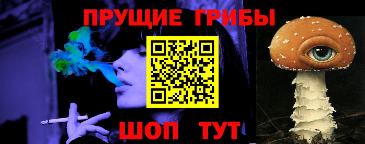 Псилоцибиновые грибы Cubensis  Вход с VPN  Канаш 
